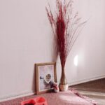 How to Set Up a Cozy and Safe Pet-Friendly Home Corner